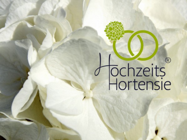 Hochzeitshortensie®