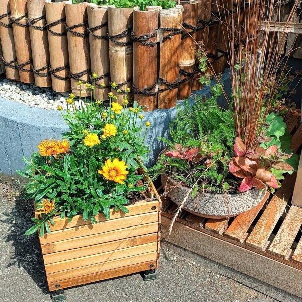 Pflanzkübel aus Bambus quadratisch - bepflanzt 1