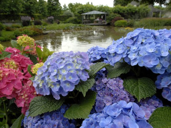 Forever & Ever®, blau1