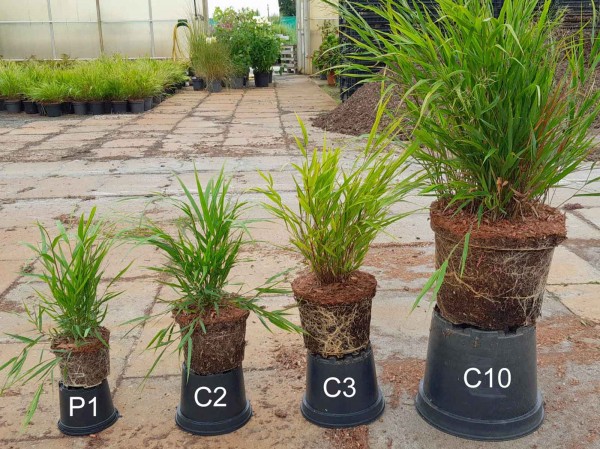 Vergleich der Topfgrößen