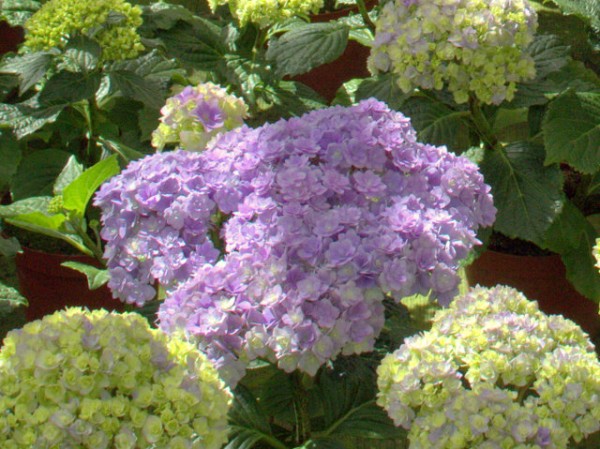 You & Me® Together1