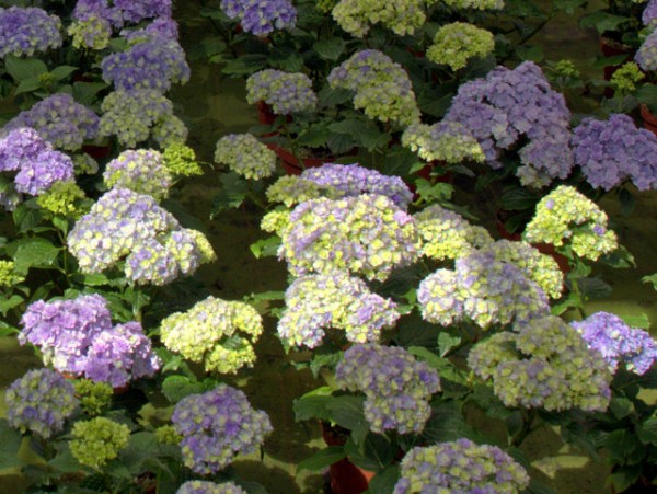 You & Me® Together2