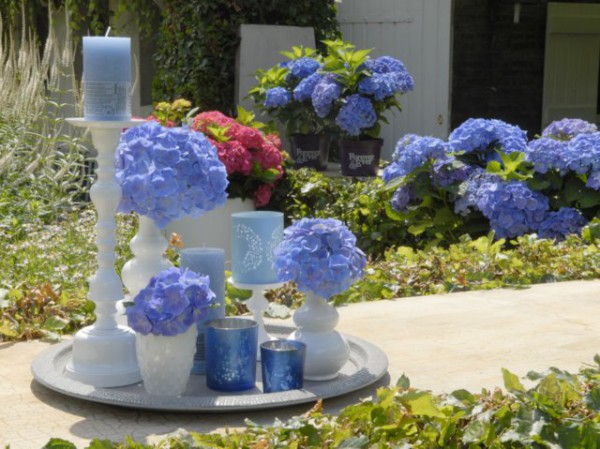 Forever & Ever®, blau2