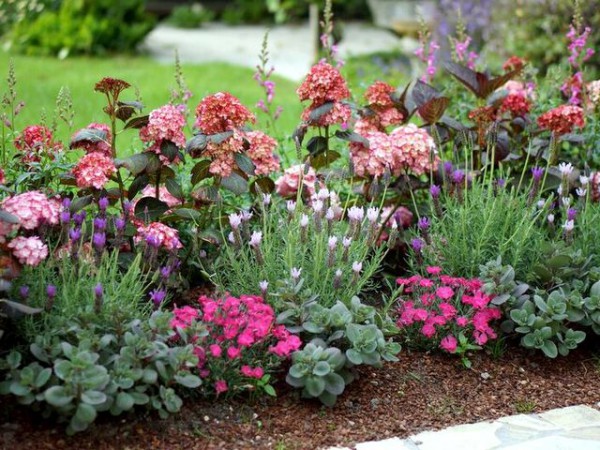 You & Me® Miss Saori3