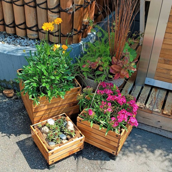 Pflanzkübel aus Bambus quadratisch - bepflanzt